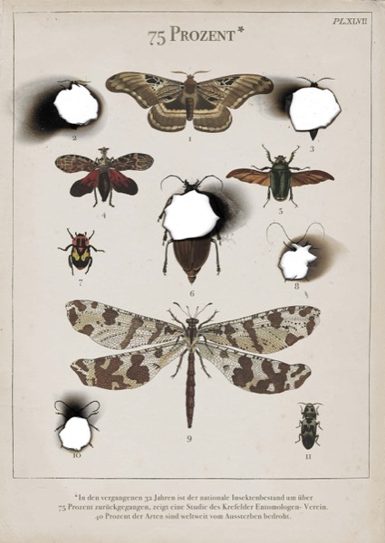 Plakat Alena Schmidbauer